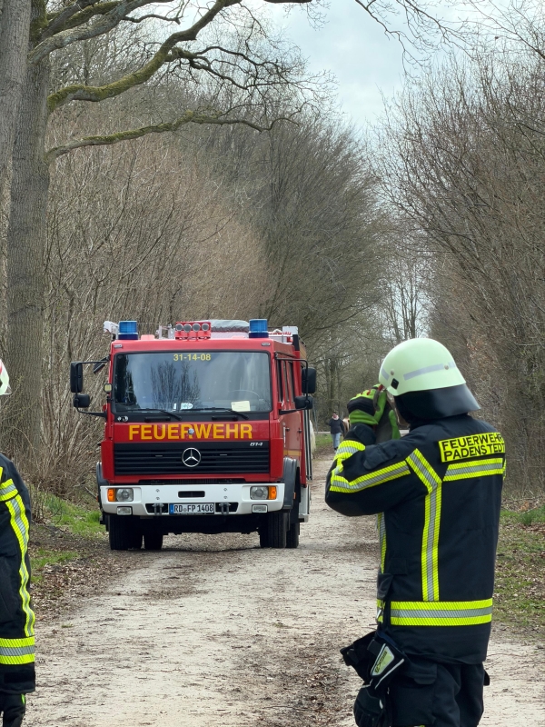 Einsatzfoto Ast droht zu fallen
